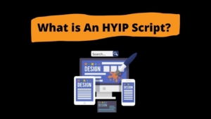HYIP software development